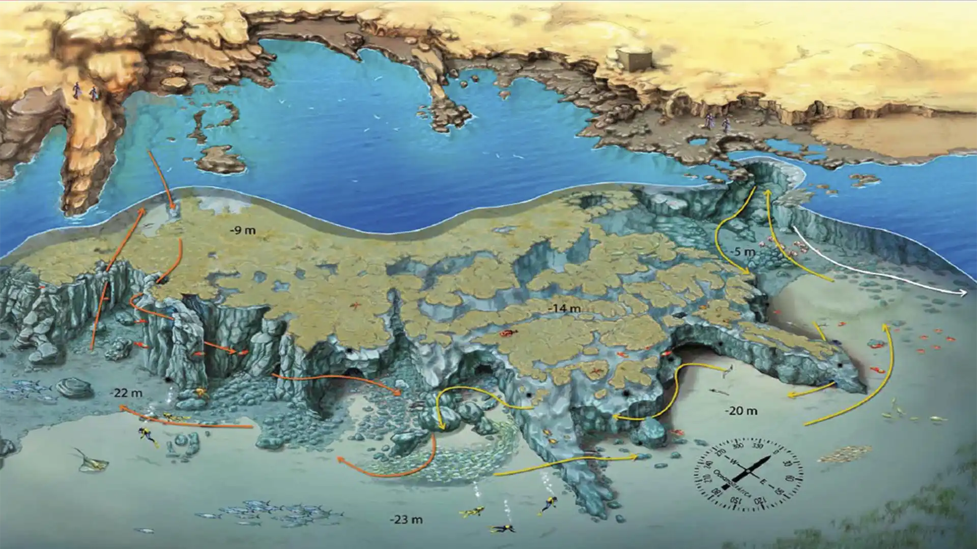 Vista submarina del punto de buceo Playa del Cabrón en Gran Canaria